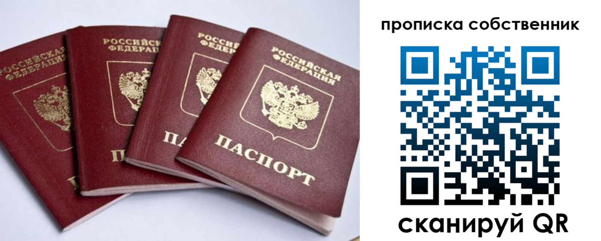прописка для школы в Благовещенске