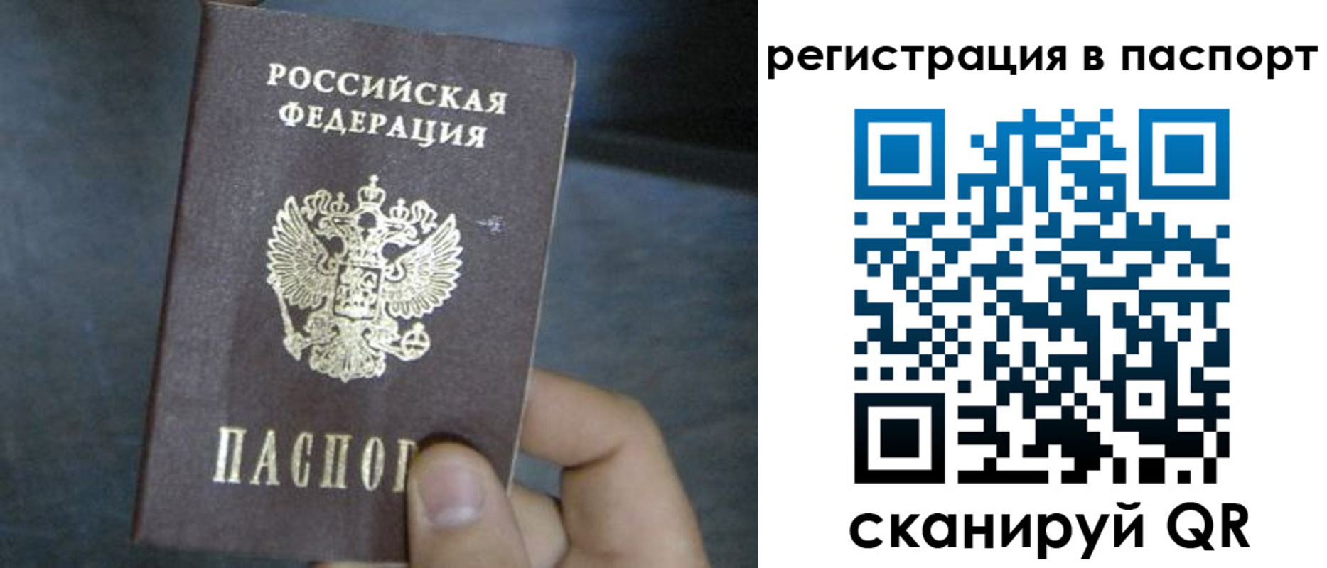 прописка 2025 в Благовещенске